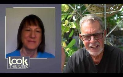 Look This Week 8-17-20 Laurie LaFond