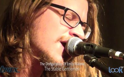 The Stable Gentlemen