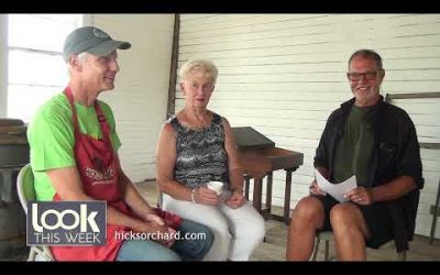 Look This Week 8 16 21 David Garvoille Hicks Orchard