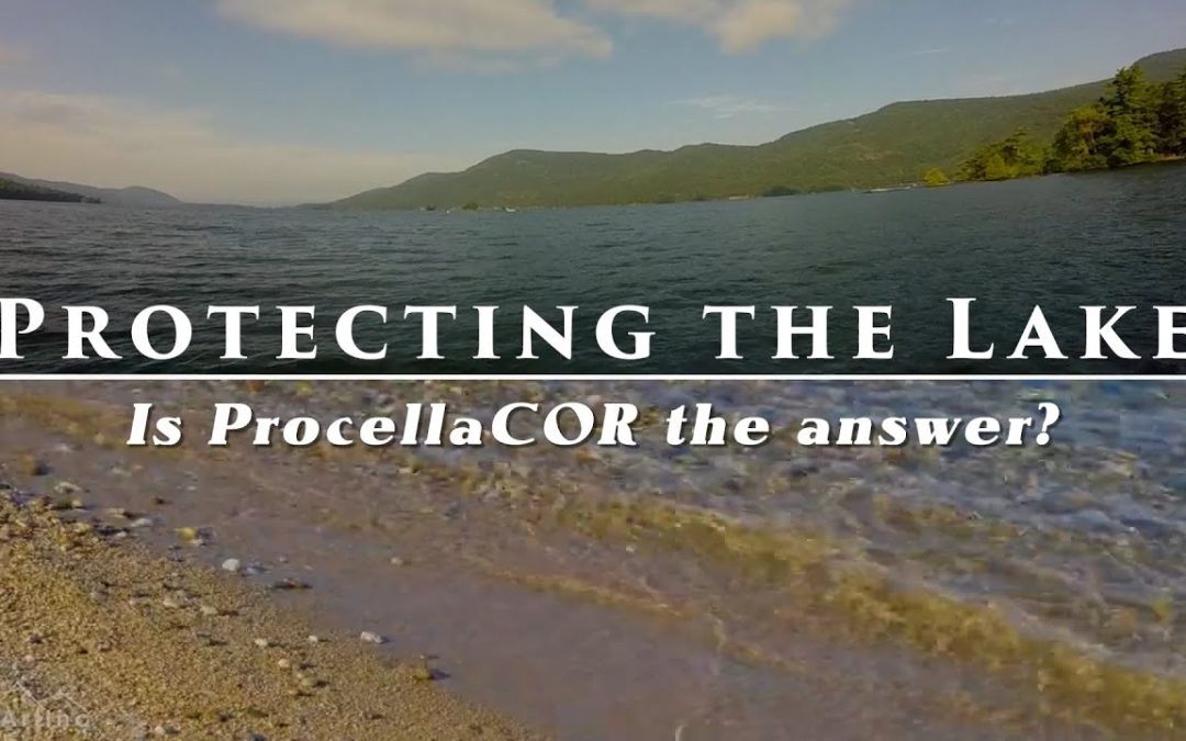 Protecting the Lake – is ProcellaCOR the answer?